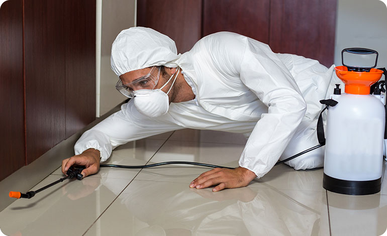 Commercial Pest Control Melbourne – Protecting Your Business